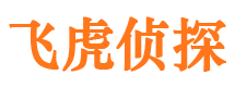 富锦调查公司